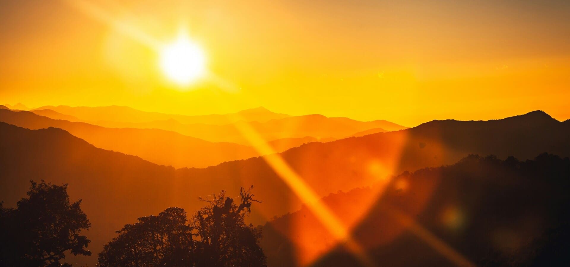 The Importance of Sun Exposure for Your Immune System: A Guide for Patients