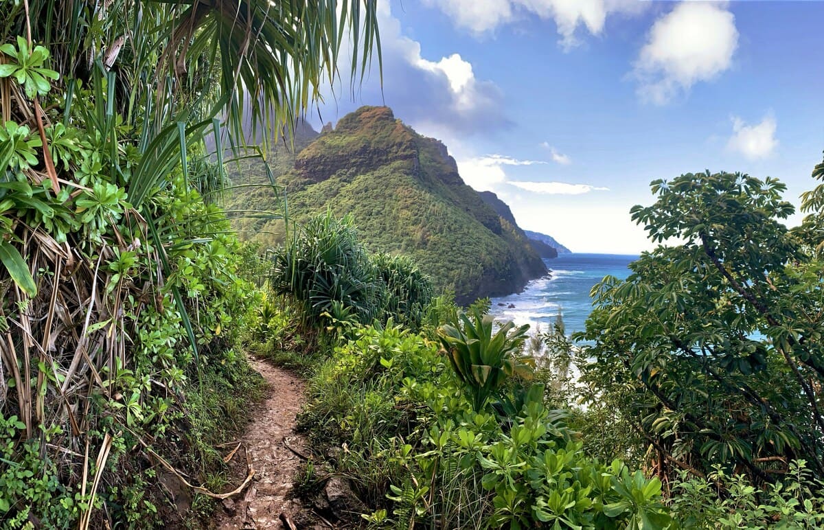 Scenic hiking trail on Oʻahu